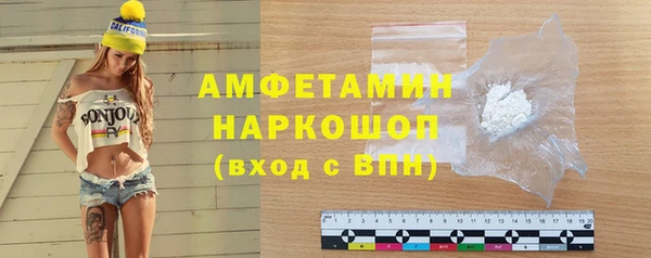 шишки Беломорск