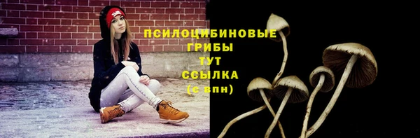 скорость Белокуриха
