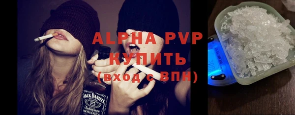 шишки Беломорск