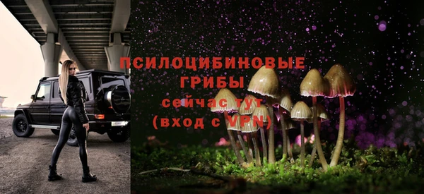 шишки Беломорск