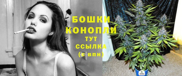 скорость Белокуриха