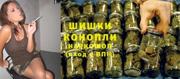шишки Беломорск