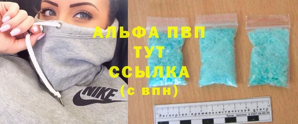 шишки Беломорск
