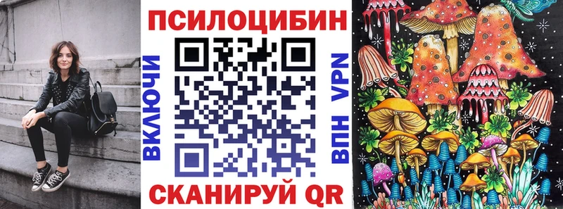 где можно купить   Выборг  Галлюциногенные грибы Psilocybine cubensis 